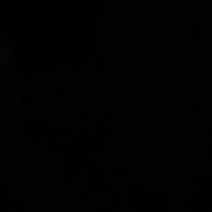 Meet your Posher, Madie